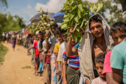 A line of hundreds of Rohingya refugees awaiting entry to a camp in Bangladesh